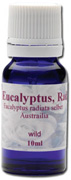 Eucalyptus Radiata #67017 Cooling, refreshing and energizing. This eucalyptus variety is preferred by many aroma therapists because it is softer than Eucalyptus Globulus while maintaining the same well-being properties